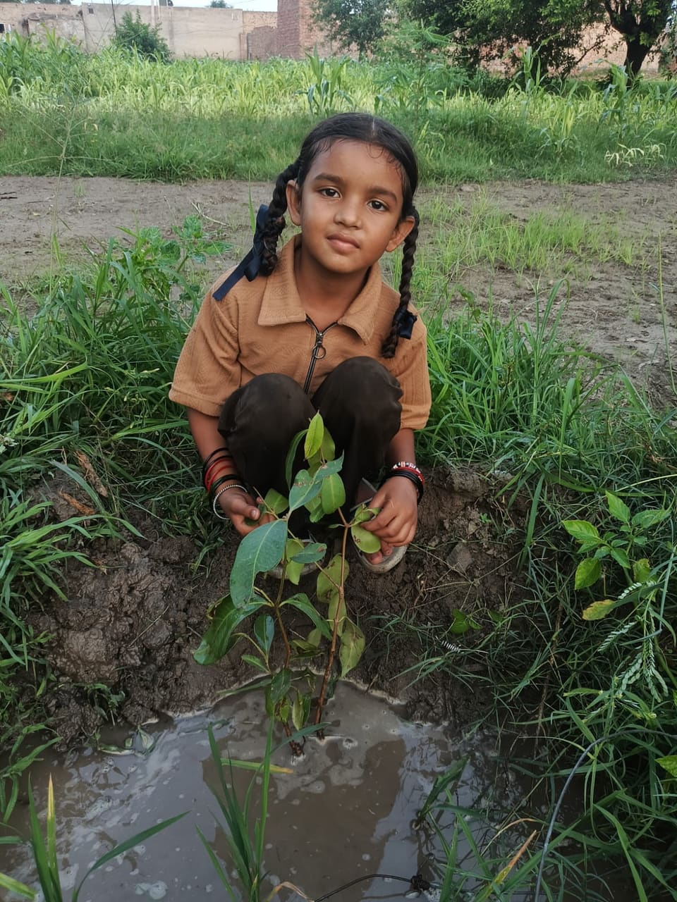 A young student holding soil around a newly planted sapling